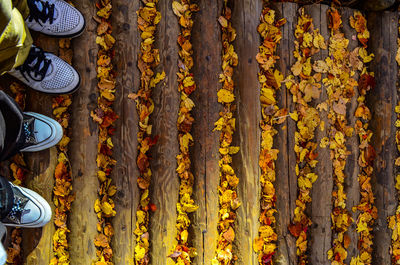 High angle view of shoes on fallen leaves autumn