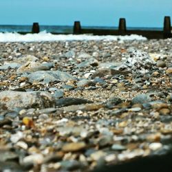 Surface level of pebbles on beach