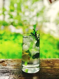 Close-up of beer glass on table