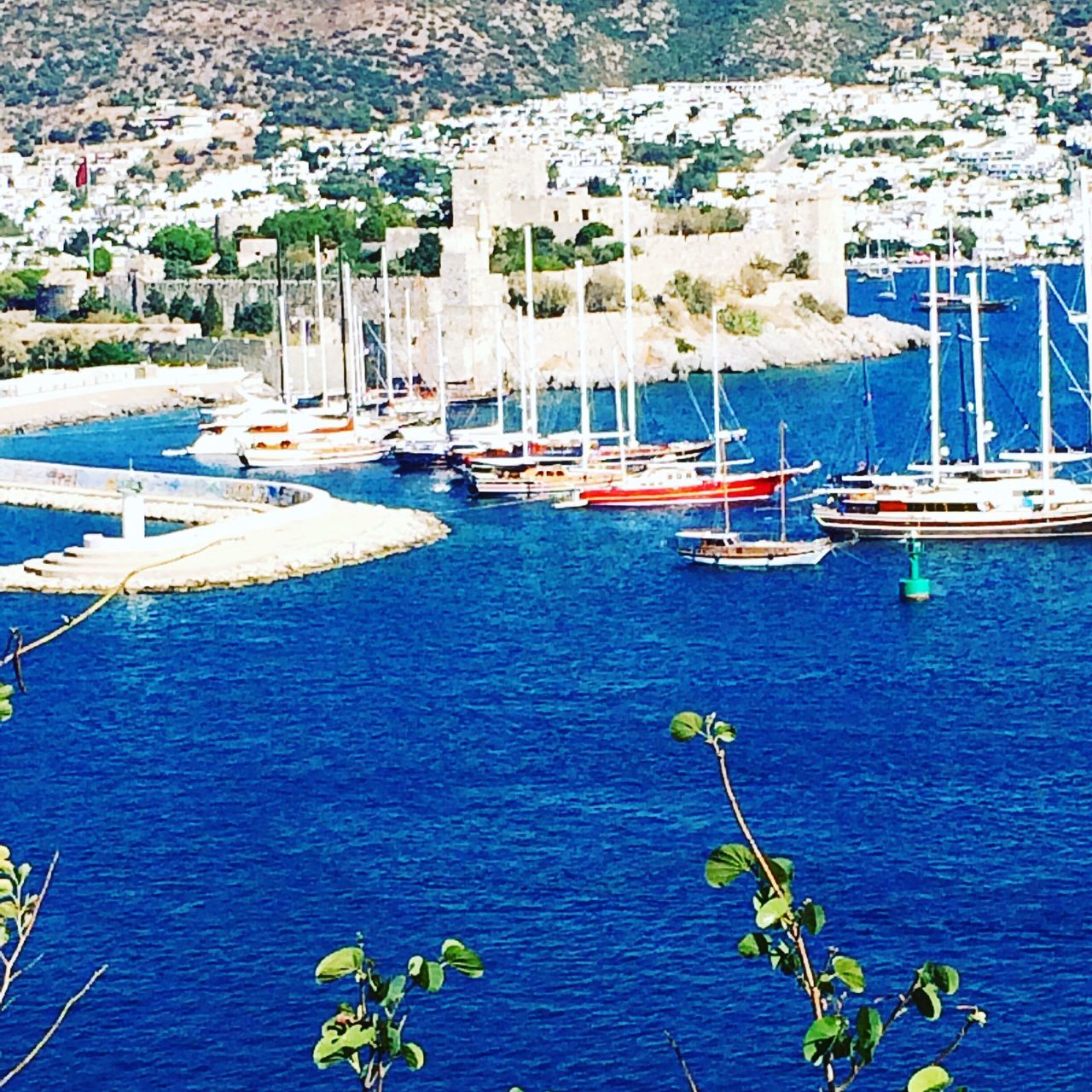 nautical vessel, water, transportation, moored, harbor, tree, sailboat, mode of transport, town, building exterior, sea, marina, commercial dock, waterfront, day, outdoors, blue, tourism, no people, development, tranquility, dock