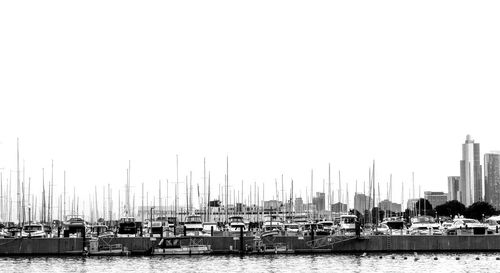 Sailboats moored in harbor against clear sky