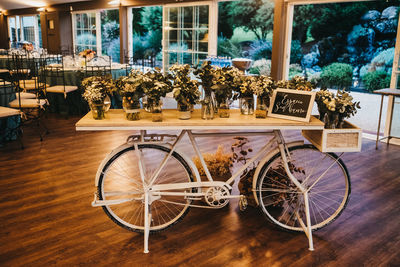 View of potted plants on wooden table