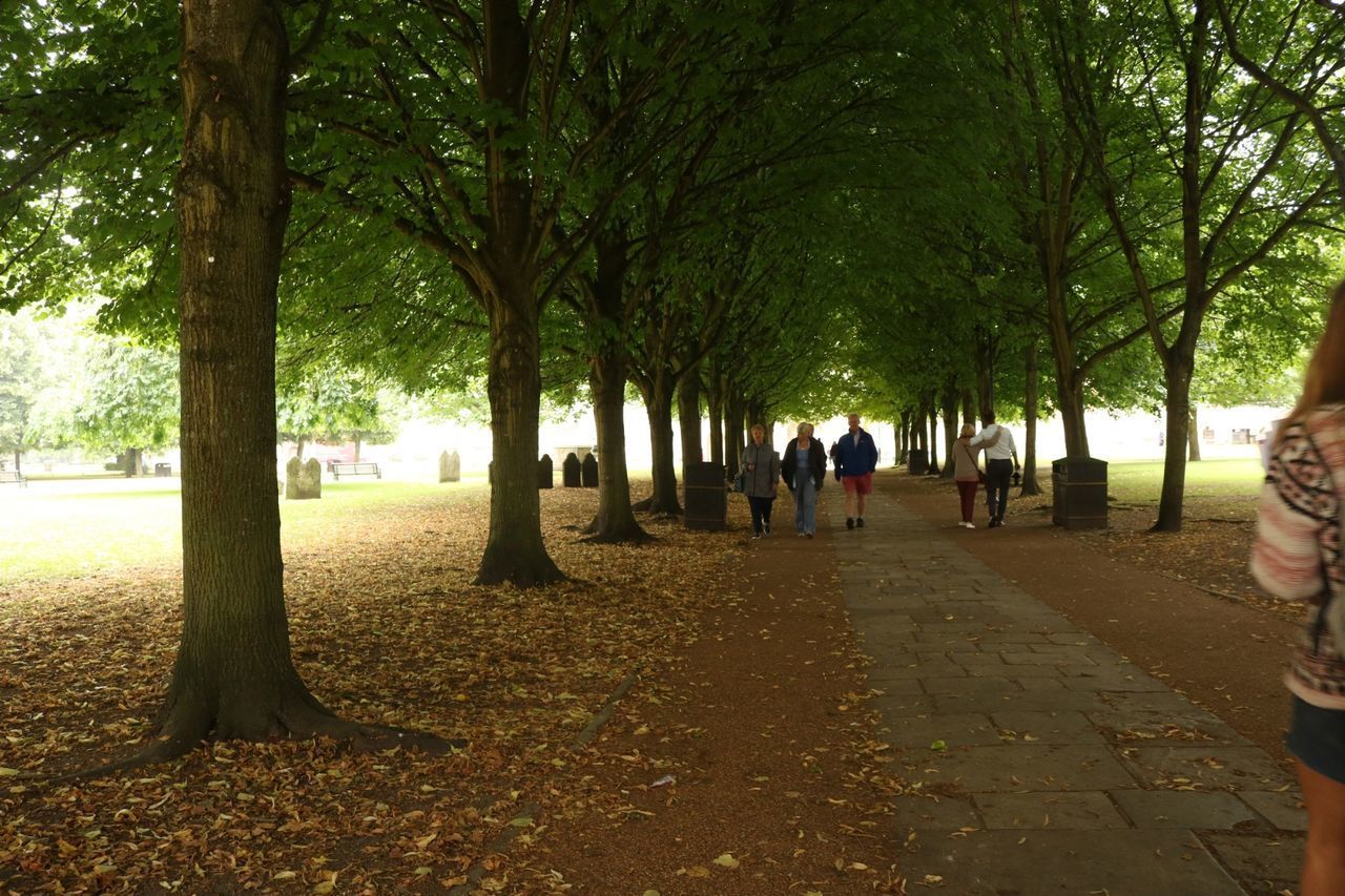 PEOPLE AT PARK DURING AUTUMN