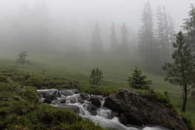 Scenic view of waterfall in forest