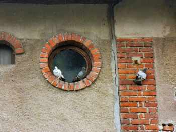 High angle view of brick wall