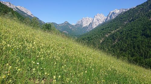 Just beautiful - kaiser-valley in austria, tirol