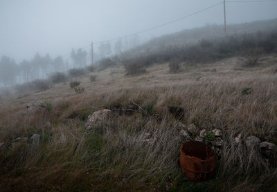 Scenic view of field during foggy weather