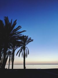 Silhouette palm trees on beach against clear blue sky