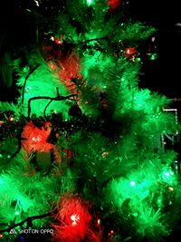 Close-up of illuminated christmas tree at night