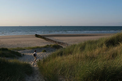 Rear view of woman walking at beach