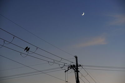 Low angle view of silhouette birds on cable against sky