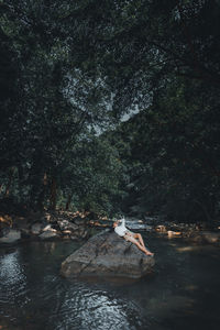 Scenic view of river amidst trees in forest