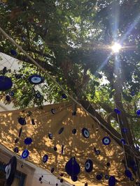 Low angle view of plants hanging on tree