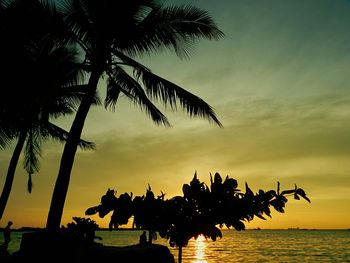 Low angle view of silhouette tree against sky