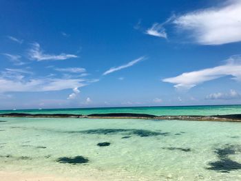 Scenic view of sea against blue sky