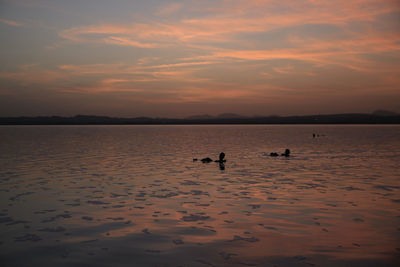 Silhouette people swimming in sea during sunset