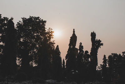 Silhouette of trees during sunset