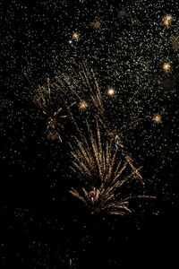Low angle view of firework display at night
