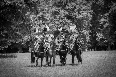 Man riding horses on field