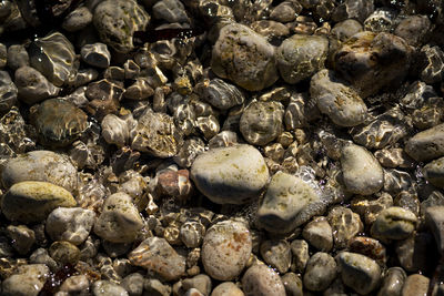 High angle view of stones on beach