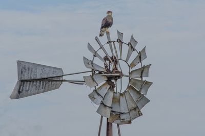 Low angle view of bird perching on a molino against sky
