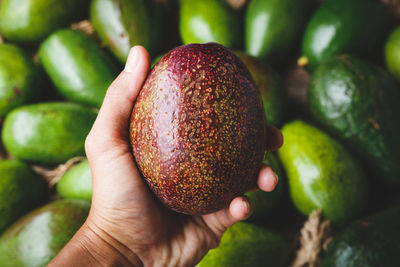 Cropped hand holding avocado over table