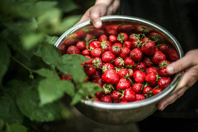 Close-up of strawberries