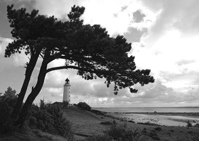 Tree by lighthouse against sky