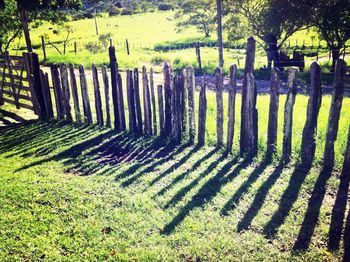 Wooden fence on grassy field