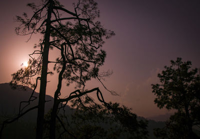 Low angle view of silhouette tree against sky