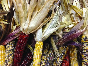 Close-up of vegetables for sale