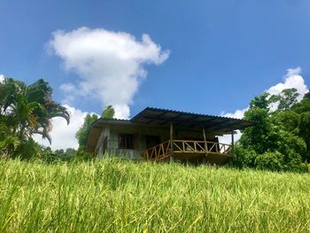 House on field against sky