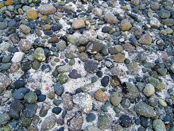 Pebbles on rocks