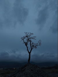 Bare tree on landscape against sky at dusk