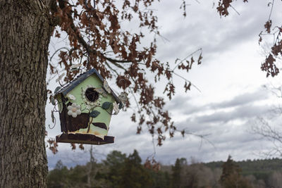 Low angle view of birdhouse on tree against sky