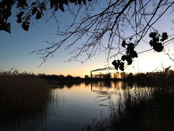 Silhouette tree by lake against sky during sunset