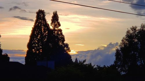 Low angle view of silhouette trees against sky during sunset