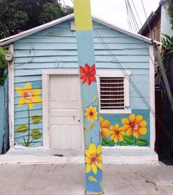 Multi colored flowers against house