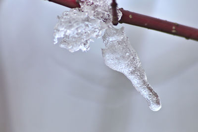 Close-up of ice crystals