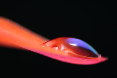 Extreme close up of red light against black background