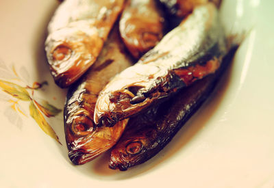 Close-up of smoked herring in plate