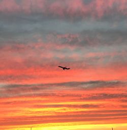 Silhouette bird flying against sky during sunset