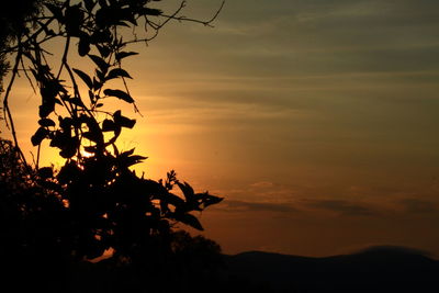 Low angle view of silhouette trees against romantic sky