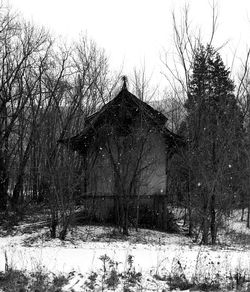 Bare trees on snow covered field