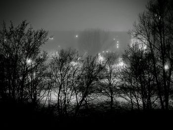 Silhouette trees against sky at night