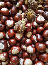 Full frame shot of chestnuts