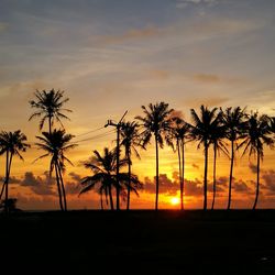 Silhouette palm trees against romantic sky at sunset