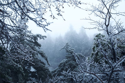 Scenic view of snowcapped mountains during winter