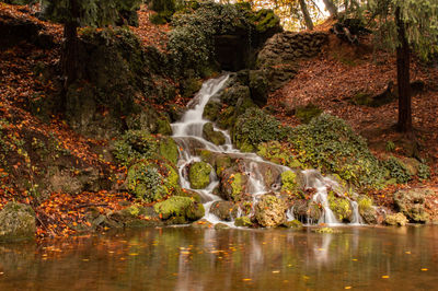 Scenic view of waterfall in forest