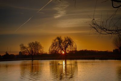 Scenic view of silhouette trees against sky at sunset